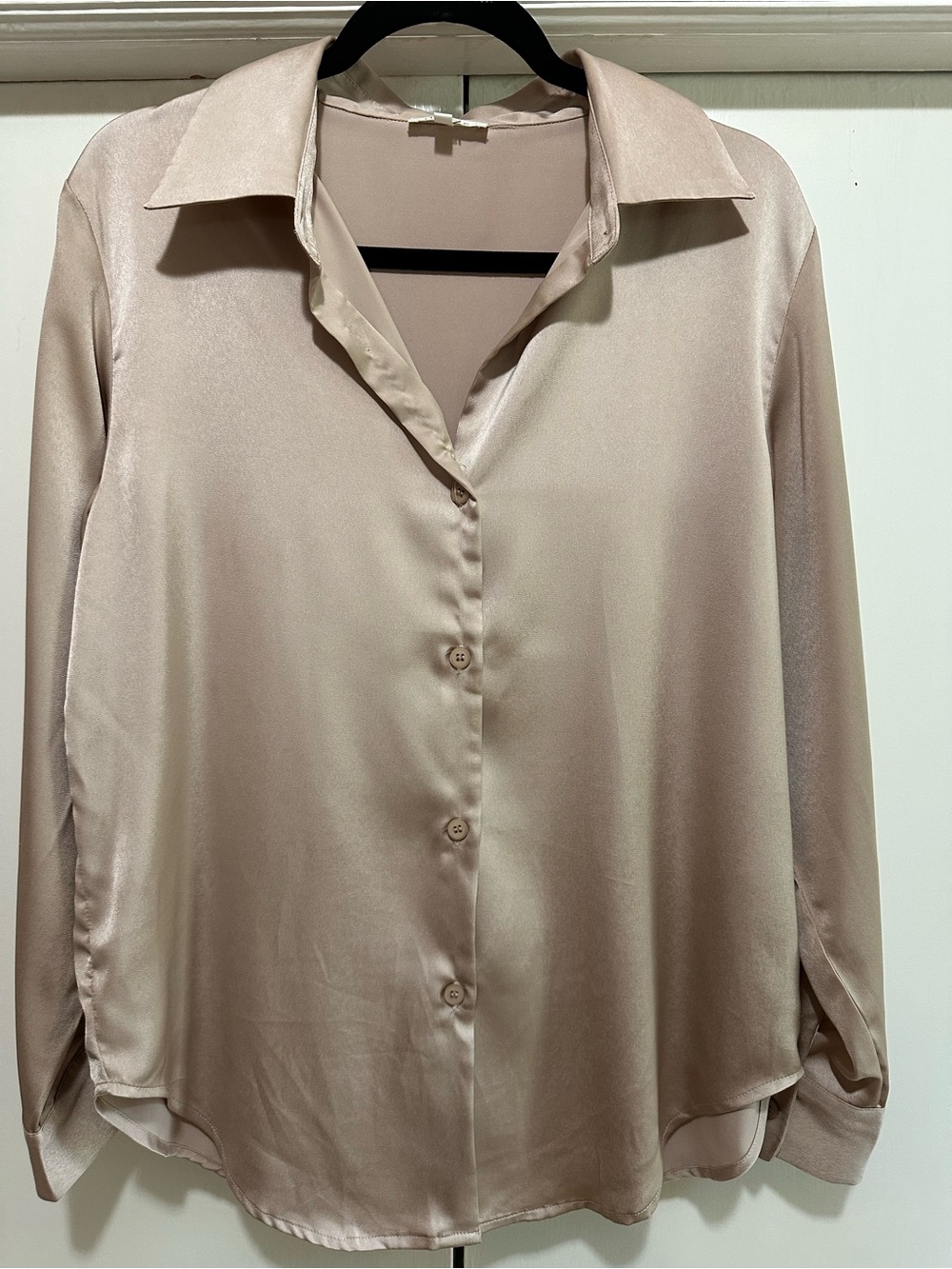 Satin Button-Front Long Sleeve Blouse in Blush